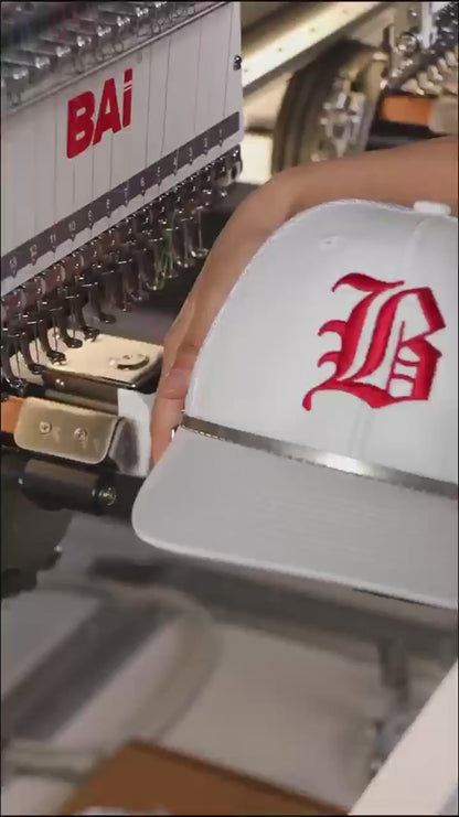 BAi THE VISION (2 Heads) Computerized Industrial Embroidery Machine